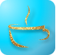 AZA App
